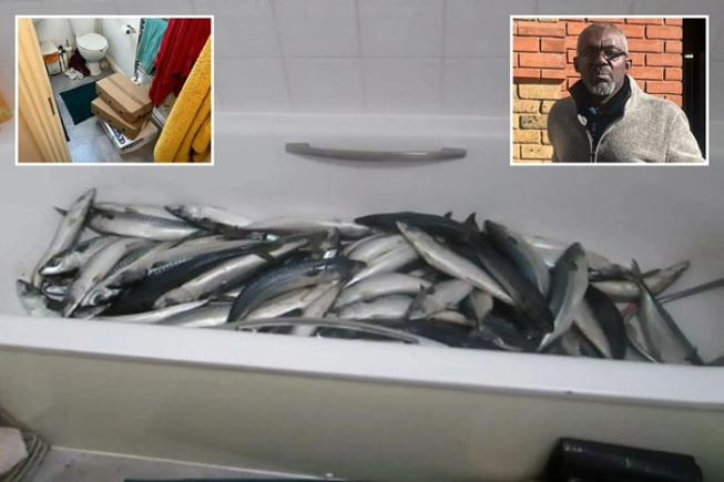 Ghanaian trader in UK convicted over bathtub fish processing scandal