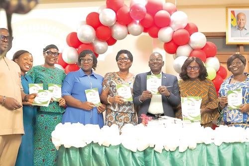 Hafez Adam (3rd from right), Director of Technical Coordination of the Ministry of Health; Dr Mary Ama Opare (2nd from right), Board Chair of the Nursing and Midwifery Council; Philomina A. N. Woolley (4th from right), Registrar, N&amp;MC, and other dignitaries launching the fitness to practice policy document. Picture: EDNA SALVO KOTEY 