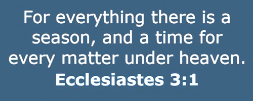 A leader notices God’s blessings while he waits for his season