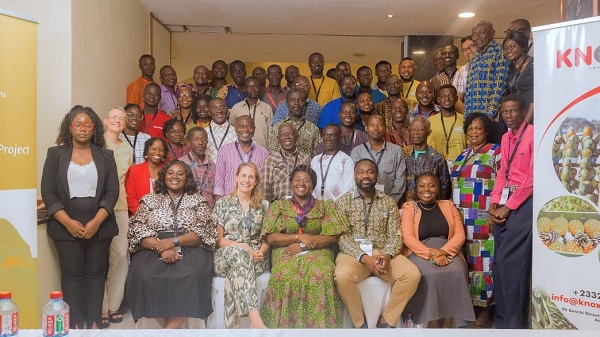 Ghana positioned to dominate global dried fruits market 