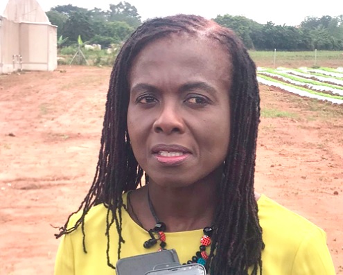 Adjoa Afriyie Wiafe, Corporate service executive, MTN Ghana Adjoa Afriyie Wiafe, Corporate service executive, MTN Ghana