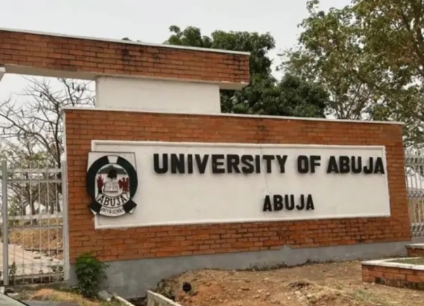 Teaching halted in universities as Nigerian lecturers go on strike