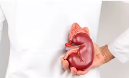 With poor lifestyle, genes, or age, kidney function can becomes severely impaired, leading to Chronic kidney disease (CKD) With poor lifestyle, genes, or age, kidney function can becomes severely impaired, leading to Chronic kidney disease (CKD)