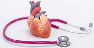 Keeping your heart healthy is vital for overall well-being Keeping your heart healthy is vital for overall well-being