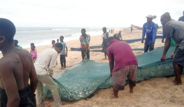 Keta: Bumper fish harvests, no ready market