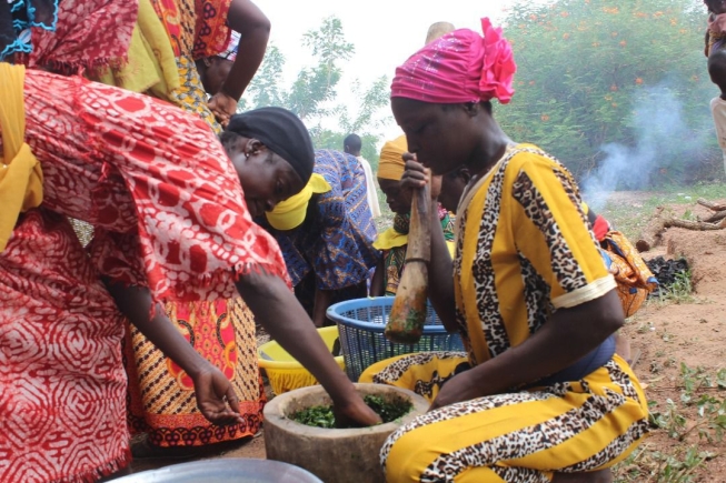 Northern Region: Kinvia, RAINS promote healthy eating among rural families on World Food Day