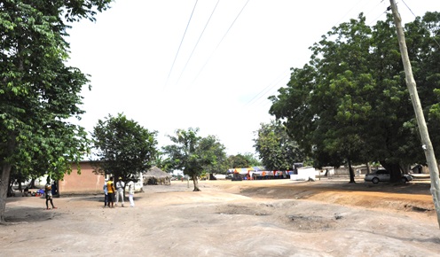 Immaculate Wudzedeke