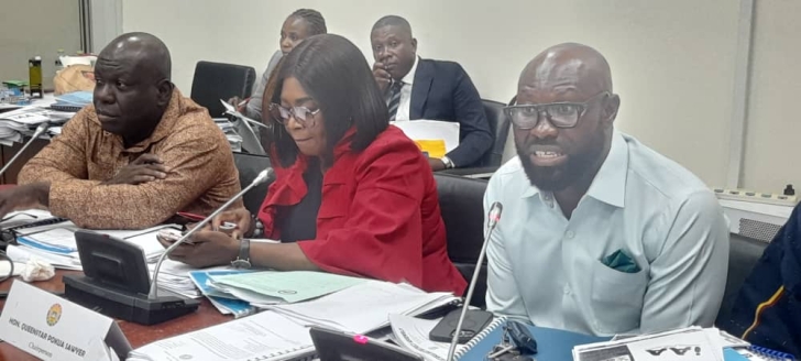 Tap tourism potential of elephants - Suame MP tells local assemblies