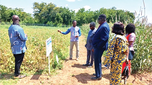 Prof Pual P. Bosu (4th from right), DG of CSIR; Mark A. Taylor (3rd from right), Council Chairman of CSIR; Dr Francis Kusi (left), Director of CSIR-SARI, and other officials being conducted round the park Prof Pual P. Bosu (4th from right), DG of CSIR; Mark A. Taylor (3rd from right), Council Chairman of CSIR; Dr Francis Kusi (left), Director of CSIR-SARI, and other officials being conducted round the park