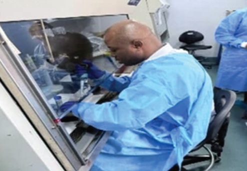 A veterinary doctor at work A veterinary doctor at work