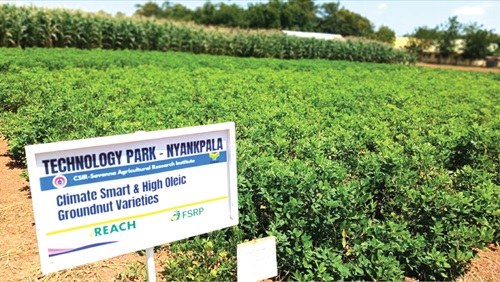 Some improved varieties planted in the technology park for exhibition to farmers and general public Some improved varieties planted in the technology park for exhibition to farmers and general public