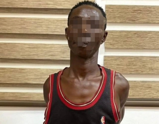 The suspect The suspect