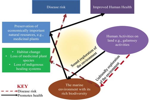 Ripples from afar: Raging ‘galamsey’ threat on biodiversity of coastal medicinal plants 