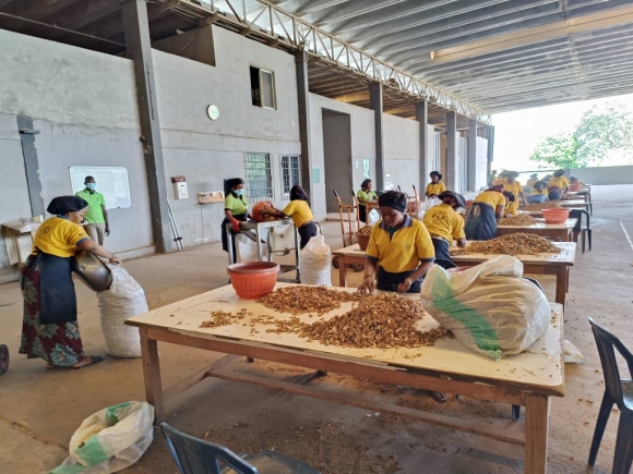 Aavishkaar Capital injects $5m into Horizon Group Africa to boost spice exports