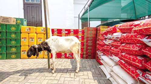 Some of the items presented