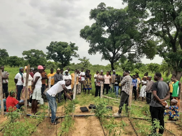 Demeter Ghana trains 100 farmers in tomato cultivation in Pwalugu and Talensi