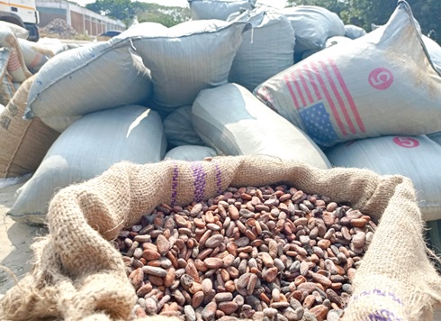 Some of the intercepted cocoa