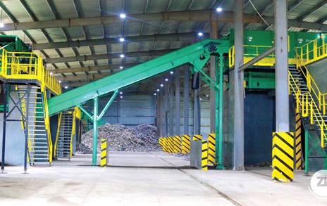 A section of the plant