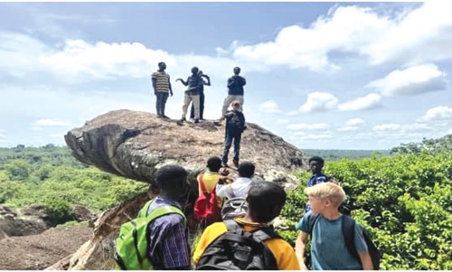 Some tourists at the Tanoboase Sacred Grove