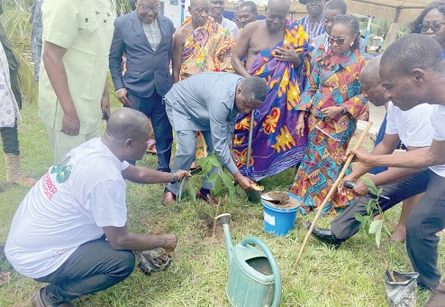 Nana Kusi Boadum,  Akyem Kusihene; Prof. Paul Bosu and Dr Isaac Danso planting a symbolic rubber seedling on the OPRI premises.Nana Kusi Boadum,  Akyem Kusihene; Prof. Paul Bosu and Dr Isaac Danso planting a symbolic rubber seedling on the OPRI premises.