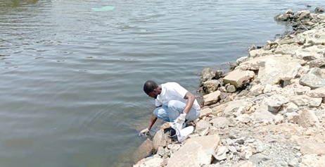 EPA official collecting water samples for laboratory  analysis. INSET: The dead fish