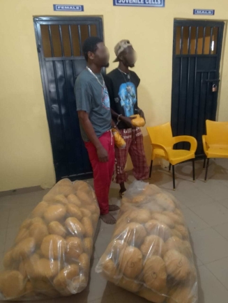 Police nab 2 suspects with 166 parcels of cannabis valued at GH¢107,000 in Kintampo
