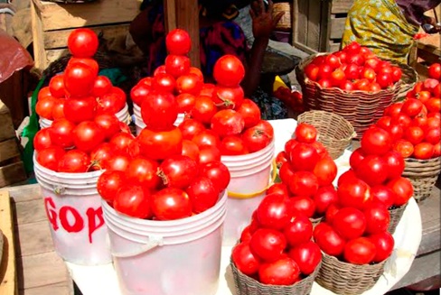 Ghana’s tomato supply fluctuates significantly throughout the year