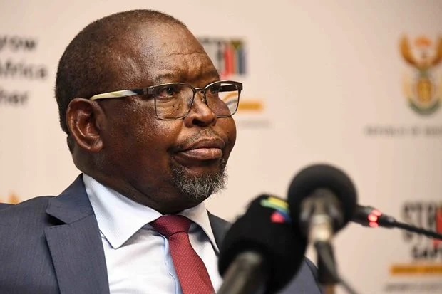 Source: GCIS. SA Finance Minister, Enoch Godongwana.