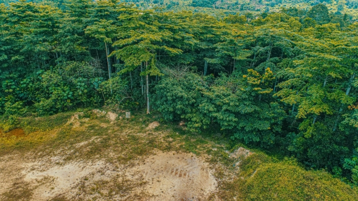 Adamus disputes licence revocation, denies illegal mining allegations