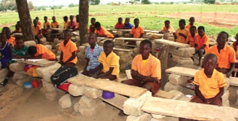 Trees must be part of the environment in schools