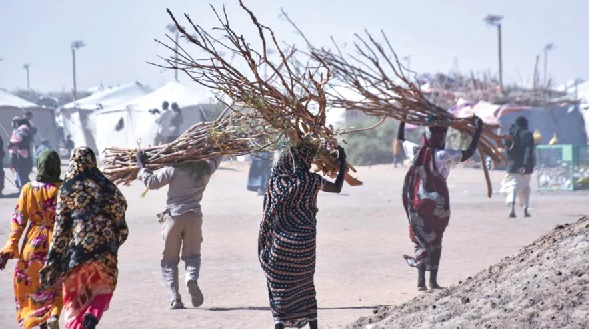 Some Sudanese displaced as a result of the war carrying firewood to a camp for displaced persons