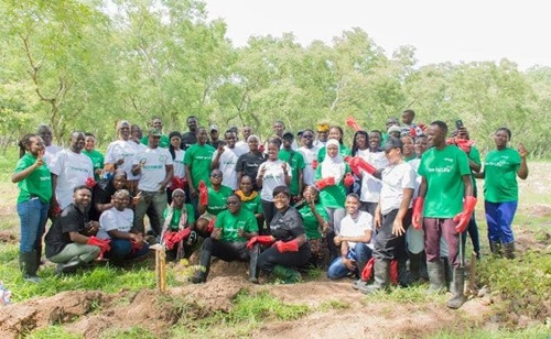 Advans Ghana plants 1,600 trees to support sustainability strategy