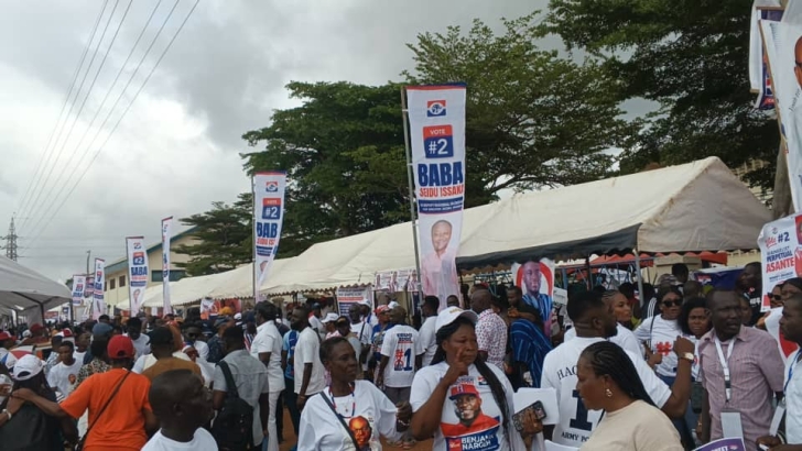 NPP Greater Accra elections: Disagreement over ballot counting process