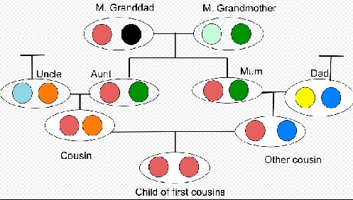 The madness of incest