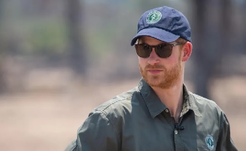 Prince Harry watching an anti-poaching demonstration in Malawi in 2019