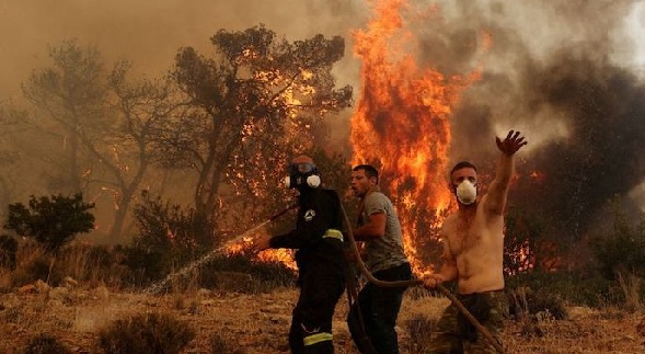 At least 12 dead, 54 injured as wildfires ravage northeastern Algeria