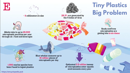 Invisible plastics: Tiny pollutants living in our food, water, air