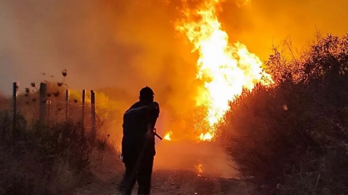President Abdelmadjid Tebboune said he was not ruling out foul play after 100 wildfires were recorded