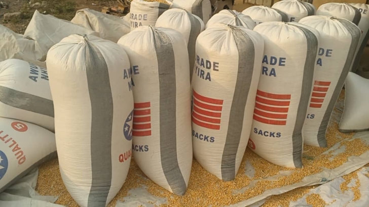 Sacks of maize harvested