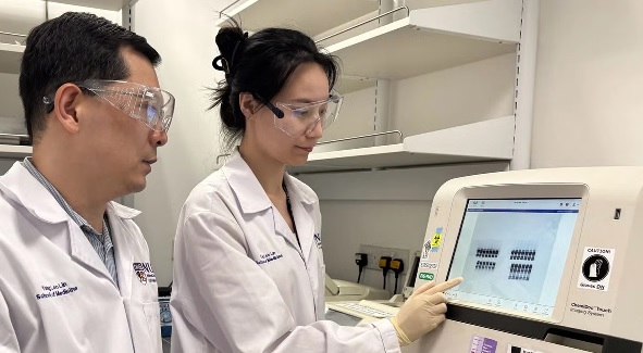 These scientists looked at gene expression related to DMTF1.