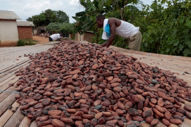 Koukou Koffi Krah Denos and Ouattara Drissa, cocoa farmers who said that they have been waiting for several months for the purchase of their harvest, sun-dry cocoa beans in Pont Nero, a village in San-Pedro, Ivory Coast, February 13, 2026. REUTERS/Luc Gnago