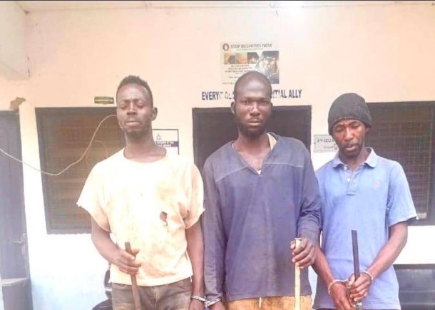 Upper West: Court convicts three over illegal firearms possession