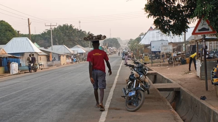 Kpandai; The 21-year-old SHS graduate who sells fish on the streets to support his family