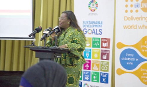 Nana Oye Bampoe Addo (right), Deputy Chief of Staff in Charge of Finance and Administration, speaking at the eventNana Oye Bampoe Addo (right), Deputy Chief of Staff in Charge of Finance and Administration, speaking at the event