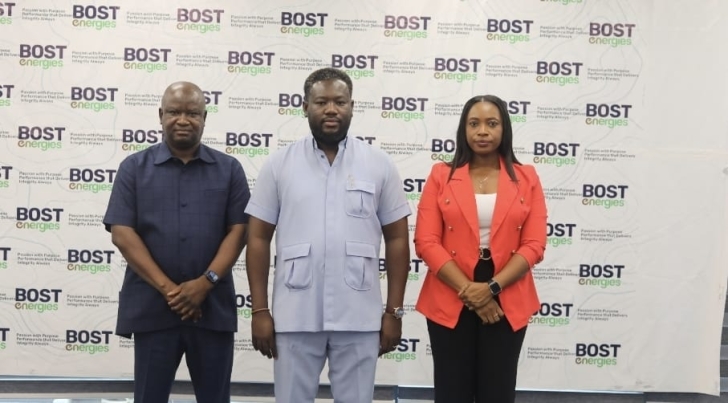 BOSTenergies elevates Salifu Nat Acheampong as Deputy MD After Bondzie’s exit