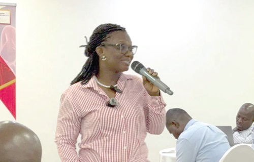 Dr Rita Patricia Amenyo, Deputy Programme Manager, National TB Programme, speaking at the workshop