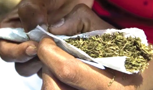 Weed–One of the drug menace in Wa