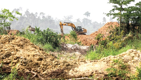 Illegal miniers continue to destroy the Oda River Forest Reserve.