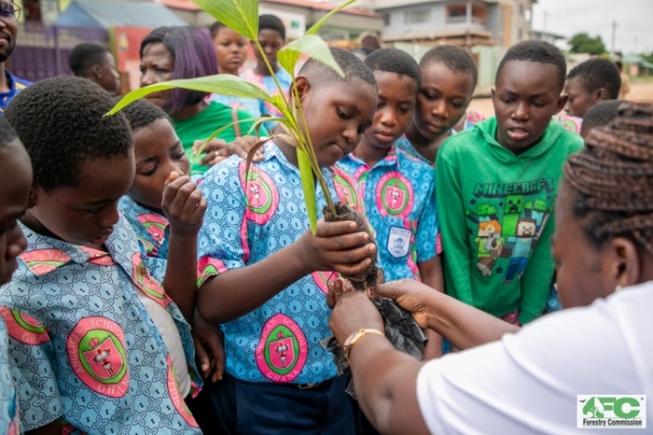 Some pupils of Achimota Anglican Basic School planting trees seedlings during the sensitisation campaign by the Forestry Commission.