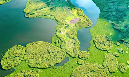 Africa's wetlands and ponds are critical ecosystems that support vast biodiversity, regulate regional hydrology, and sustain local livelihoods